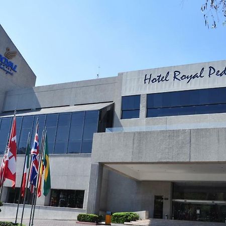 Royal Pedregal Hotel Mexico City Exterior photo